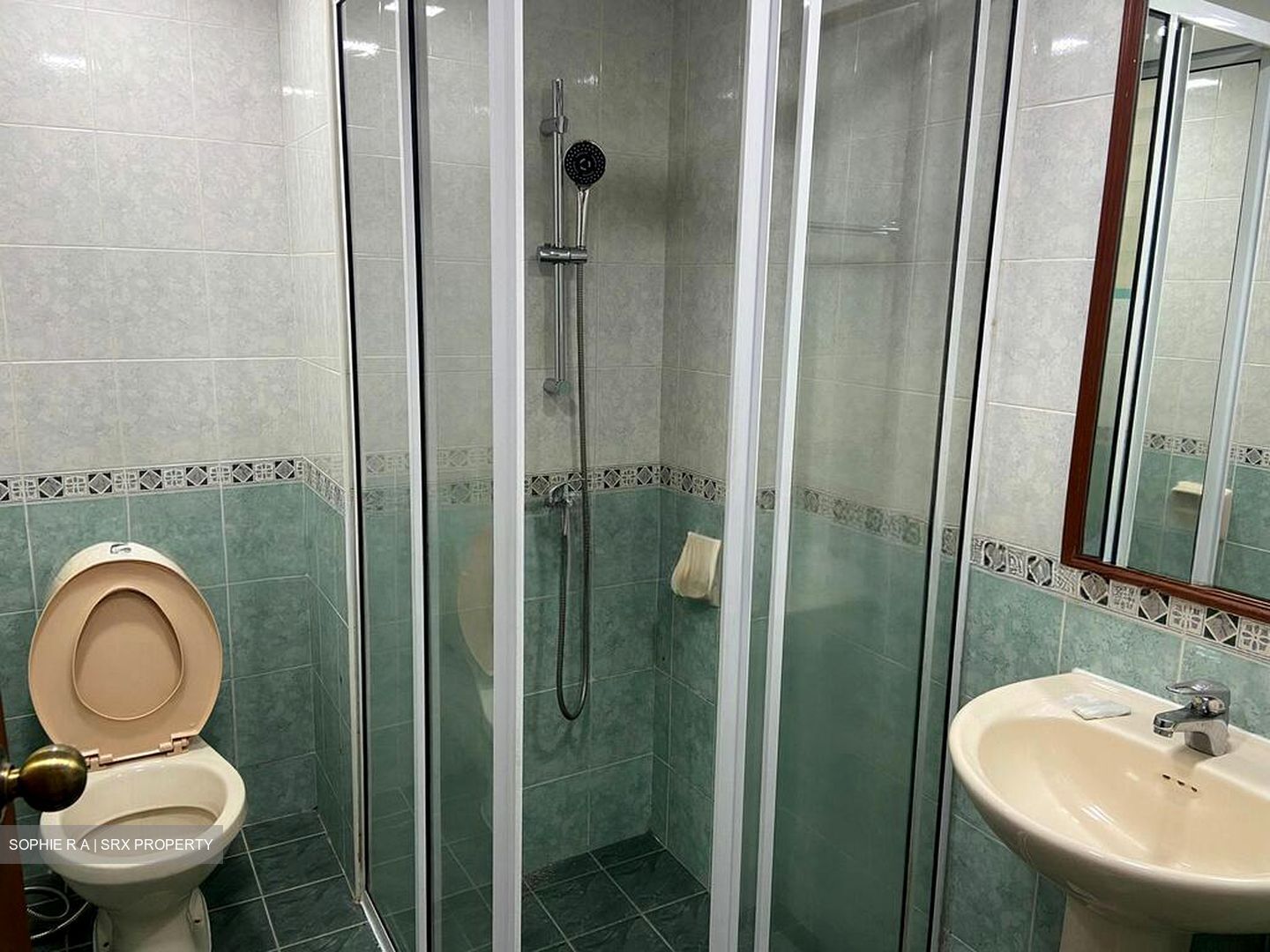 Ballota Park Condominium (D17), Condominium #499425201